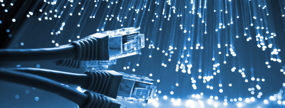 Netzwerkkabel und Glasfaser als Symbol für professionelle Netzwerktechnik